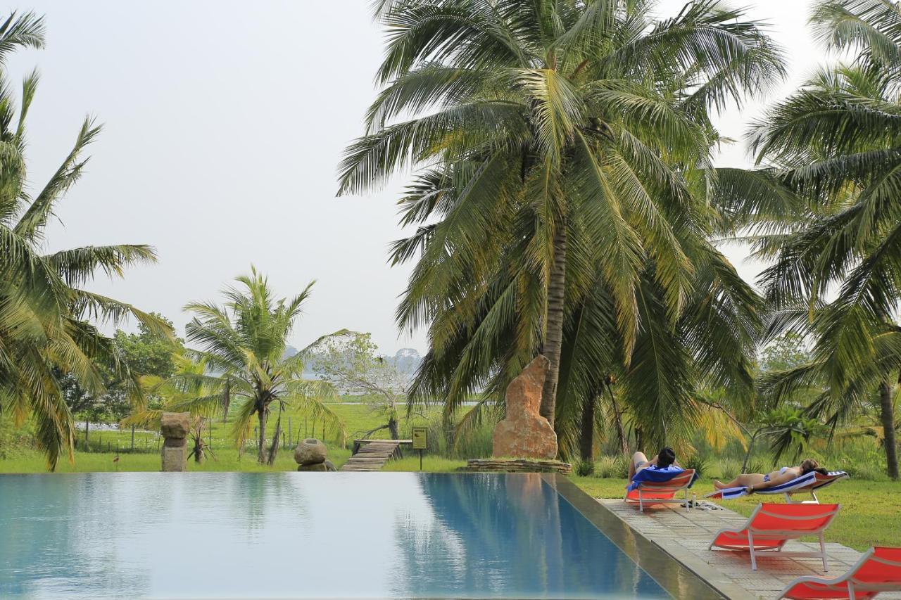 Tara Watergate Hotel Tissamaharama Exterior foto